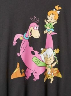 Warner Bros Flintstone Classic Fit Cotton Crew Neck Long Sleeve Crop Top -Clothing Shop 19454460 00684 av3